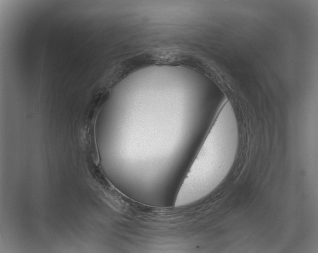 X0000075840601200609150914