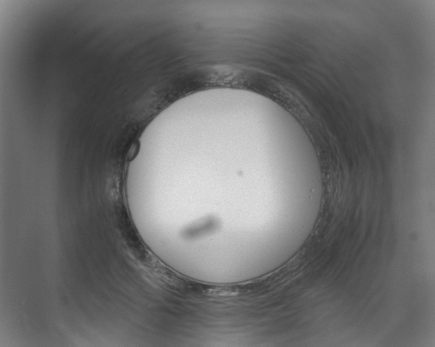 X0000075840602200609150914