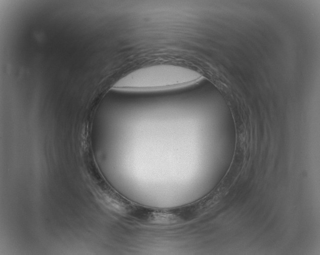 X0000075840605200609150914