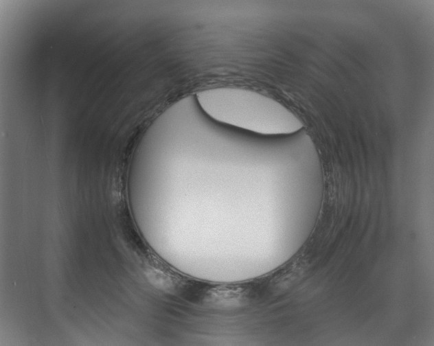 X0000075840606200609150914