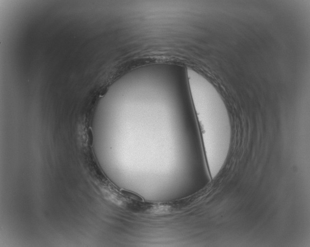 X0000075840609200609150913