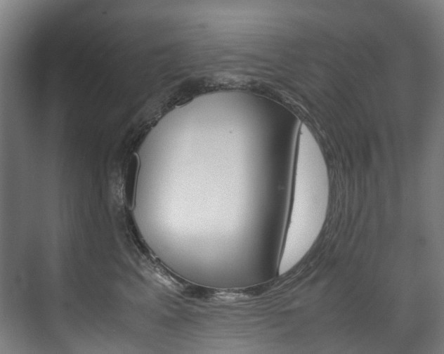 X0000075840617200609150913