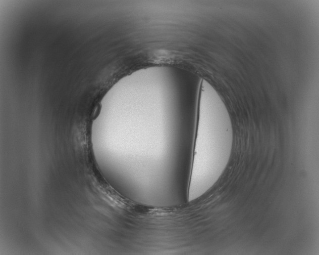 X0000075840620200609150913