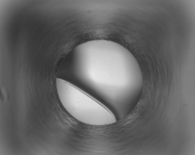 X0000075840624200609150913
