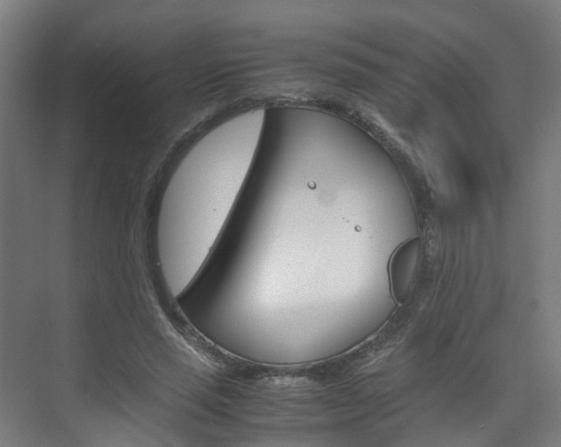 X0000075840637200609150913