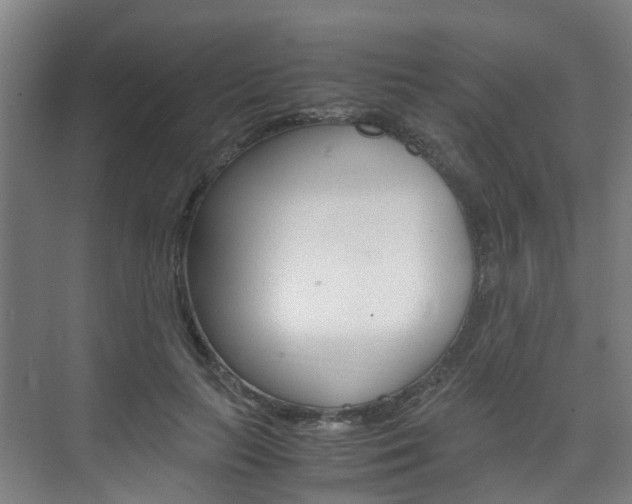 X0000075840647200609150913