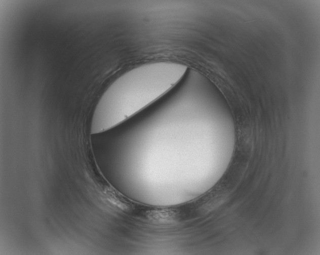 X0000075840652200609150913