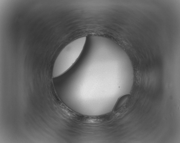 X0000075840657200609150913