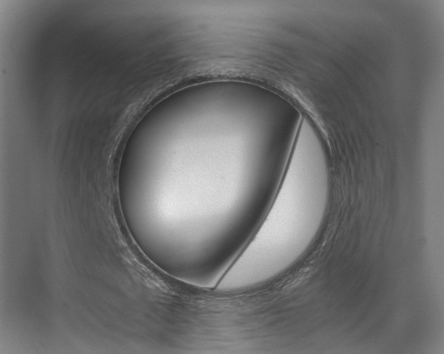 X0000075840673200609150912