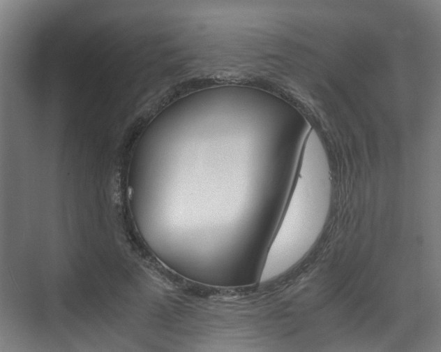 X0000075840689200609150912