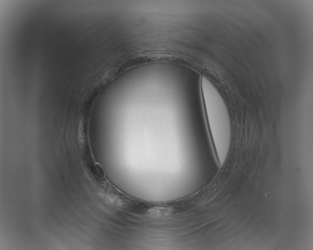 X0000075840700200609150912