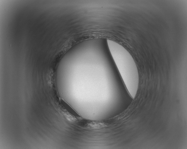 X0000075840712200609150912