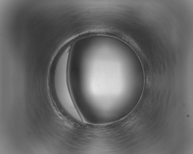 X0000075840724200609150911