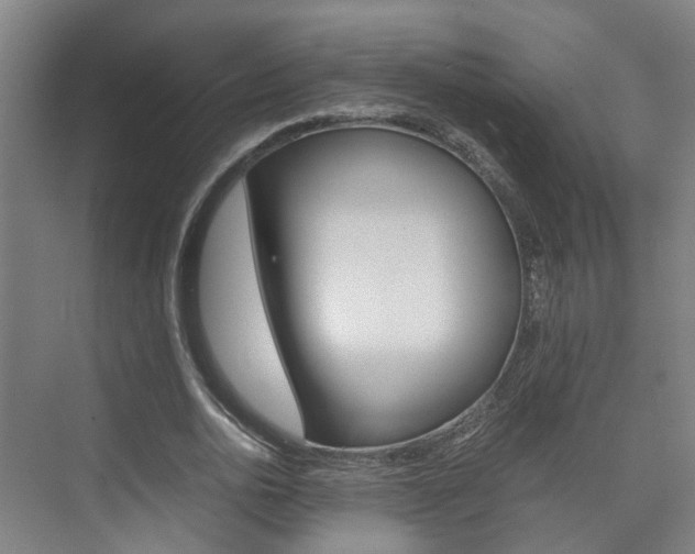 X0000075840726200609150911
