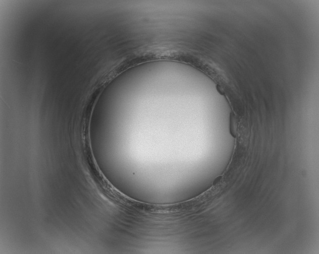 X0000075840740200609150911
