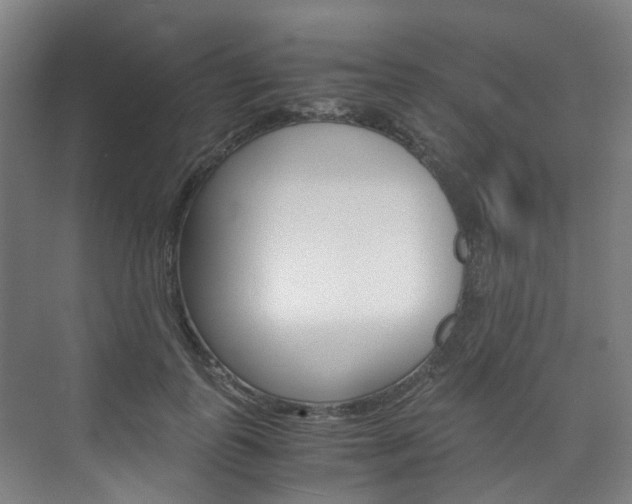 X0000075840747200609150911