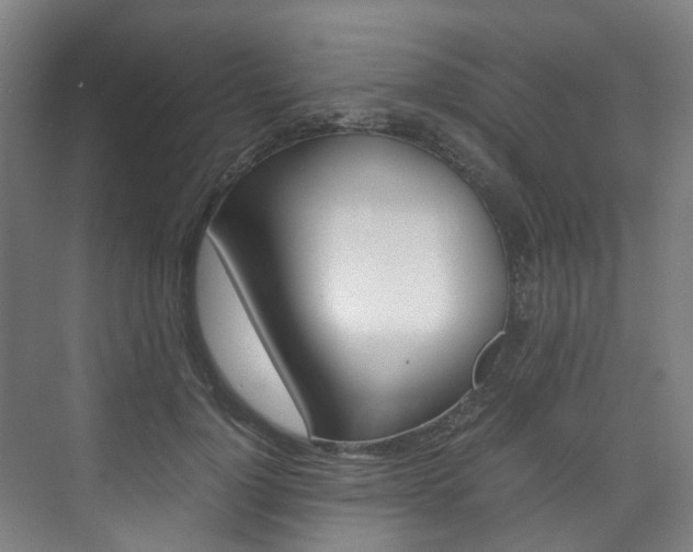 X0000075840748200609150911