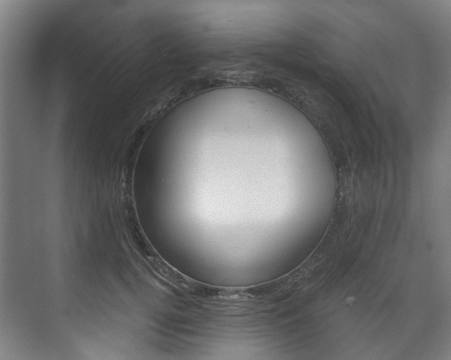 X0000075840752200609150911