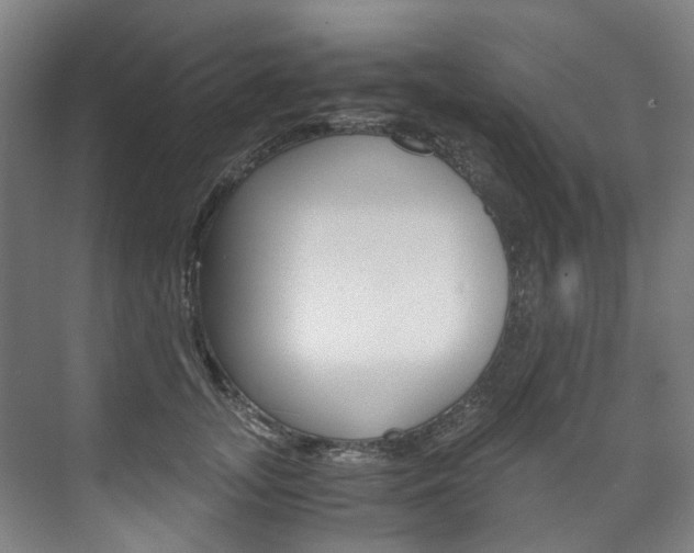 X0000075840755200609150911