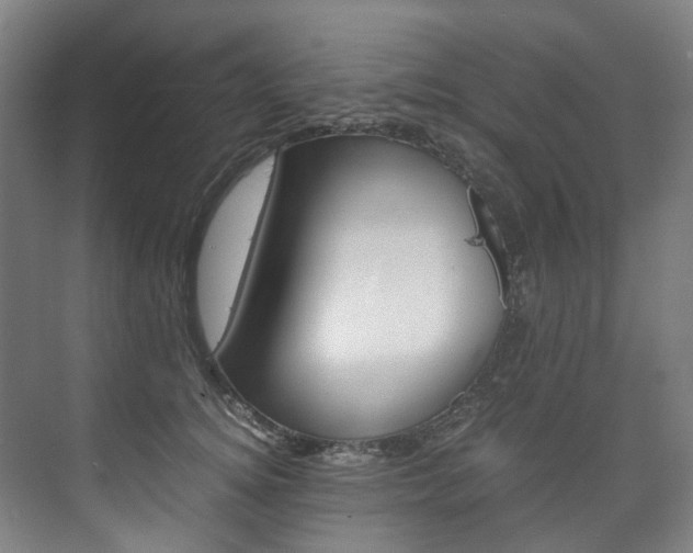 X0000075840756200609150911