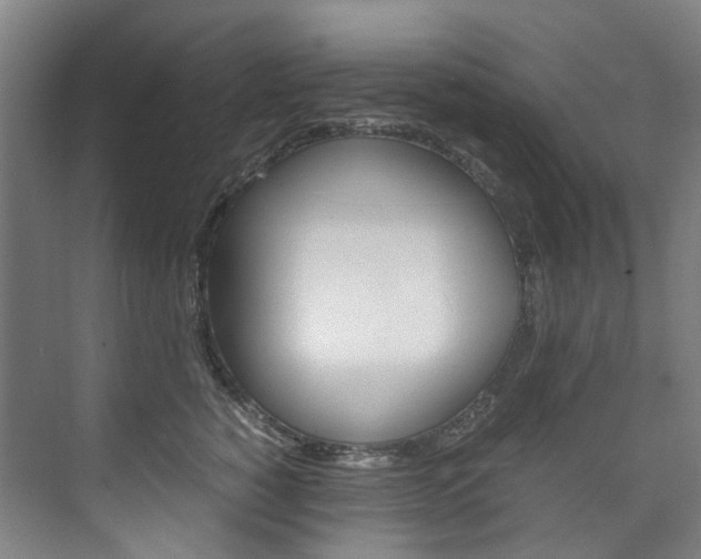 X0000075840760200609150911
