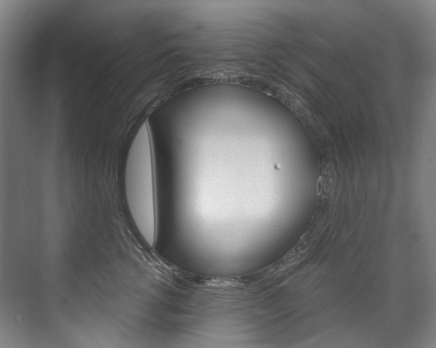 X0000075840762200609150911