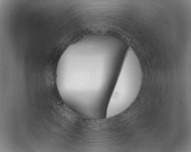 X0000075840772200609150911