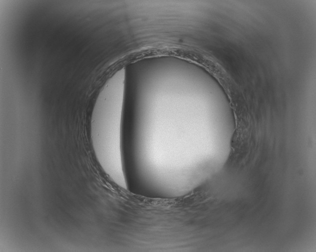 X0000075840773200609150911