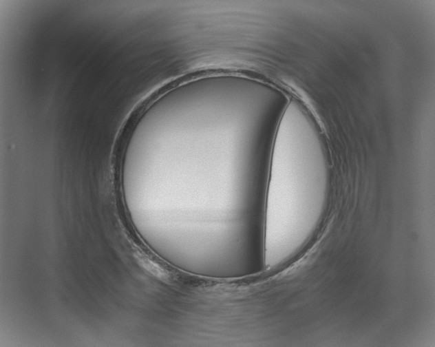 X0000075840779200609150911
