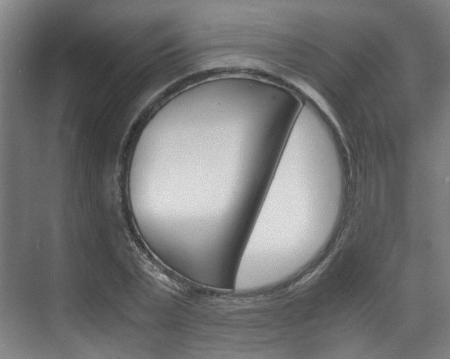 X0000075840783200609150911