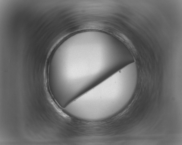 X0000075840796200609150910