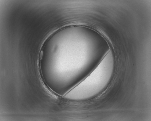 X0000075840797200609150910
