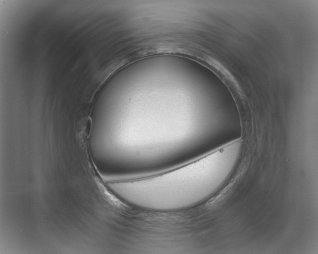 X0000075840801200609150910