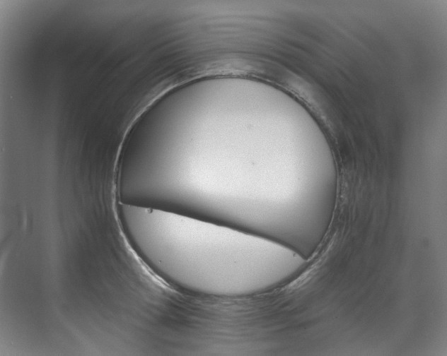 X0000075840802200609150910