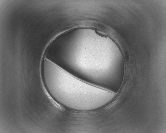 X0000075840803200609150910
