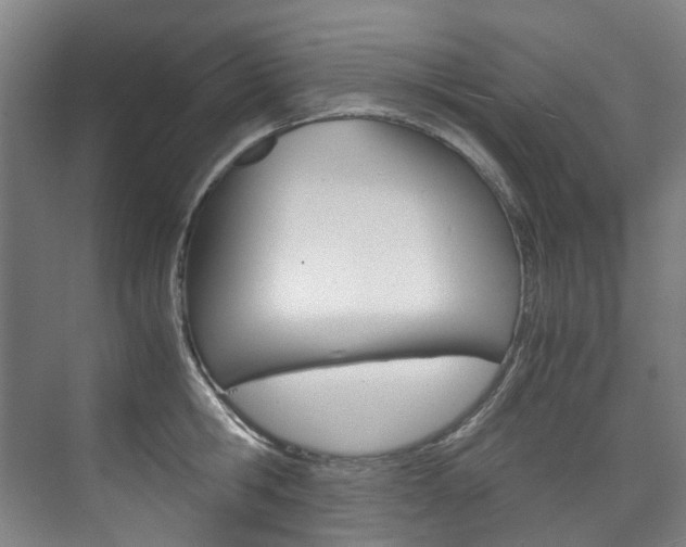 X0000075840806200609150910
