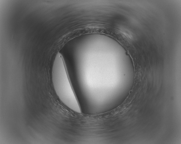 X0000075840821200609150909