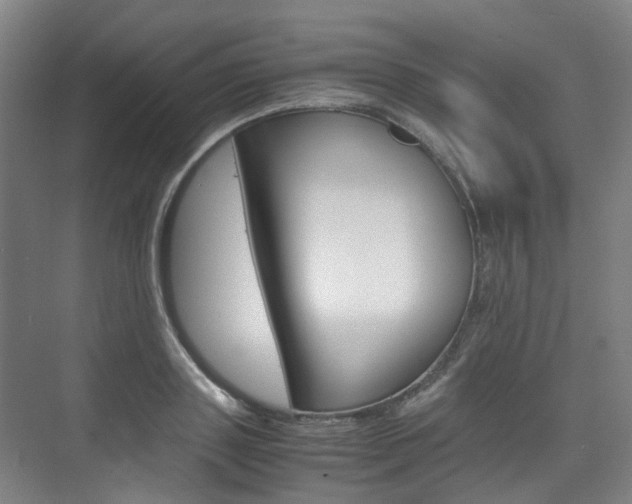X0000075840843200609150910
