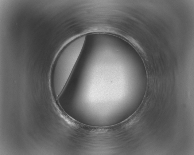 X0000075840846200609150910