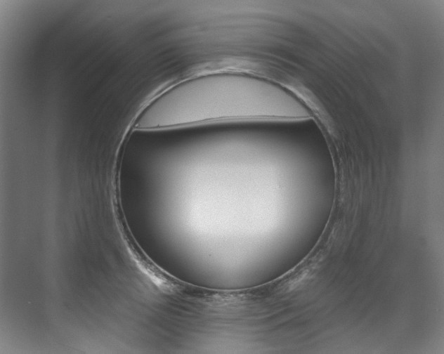 X0000075840850200609150910