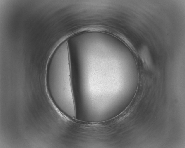 X0000075840853200609150910