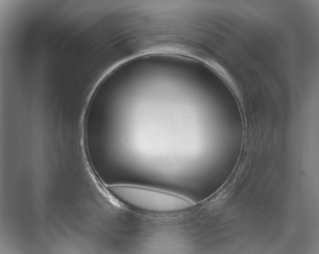 X0000075840862200609150910