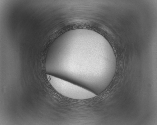 X0000075840869200609150909