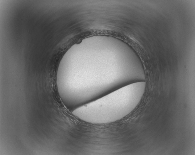 X0000075840870200609150909