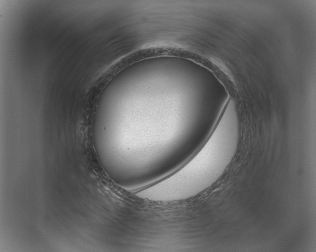 X0000075840872200609150909