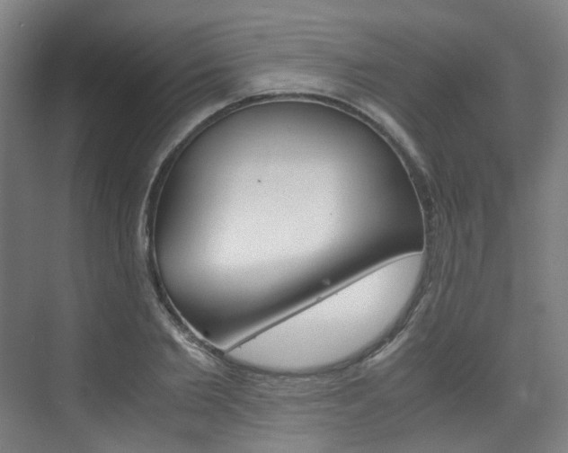 X0000075840885200609150909