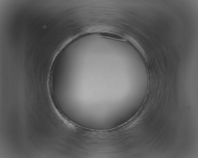 X0000075840901200609150909