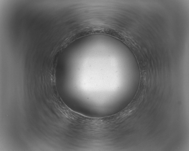X0000075840916200609150908