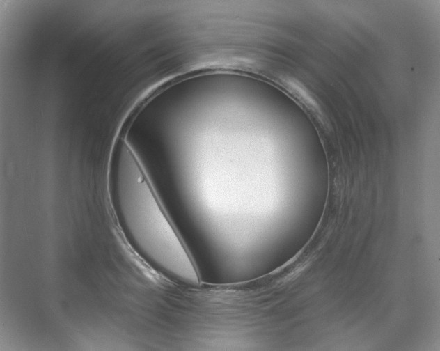 X0000075840940200609150908