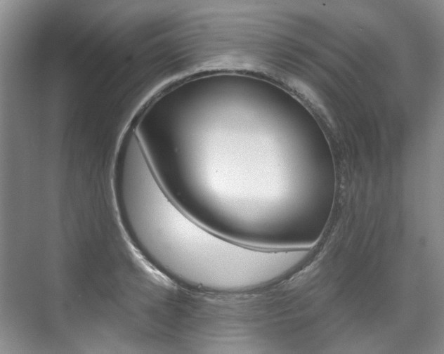 X0000075840942200609150908